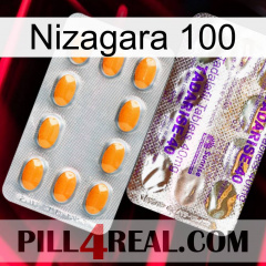 Nizagara 100 new12